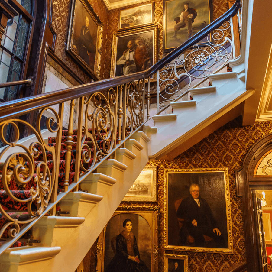 Cosy Club